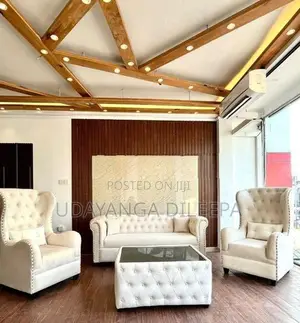 Luxury Sofa