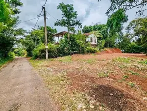 දිවුලපිටිය වටිනා ඉඩමක් විකිණීමට