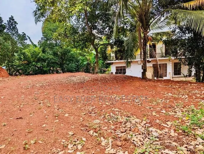 දිවුලපිටිය වටිනා ඉඩමක් විකිණීමට