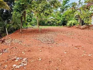 දිවුලපිටිය වටිනා ඉඩමක් විකිණීමට