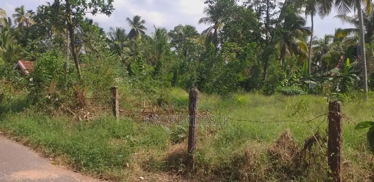 Dankotuwa Haldanduwana 60 Perches Land For Sale