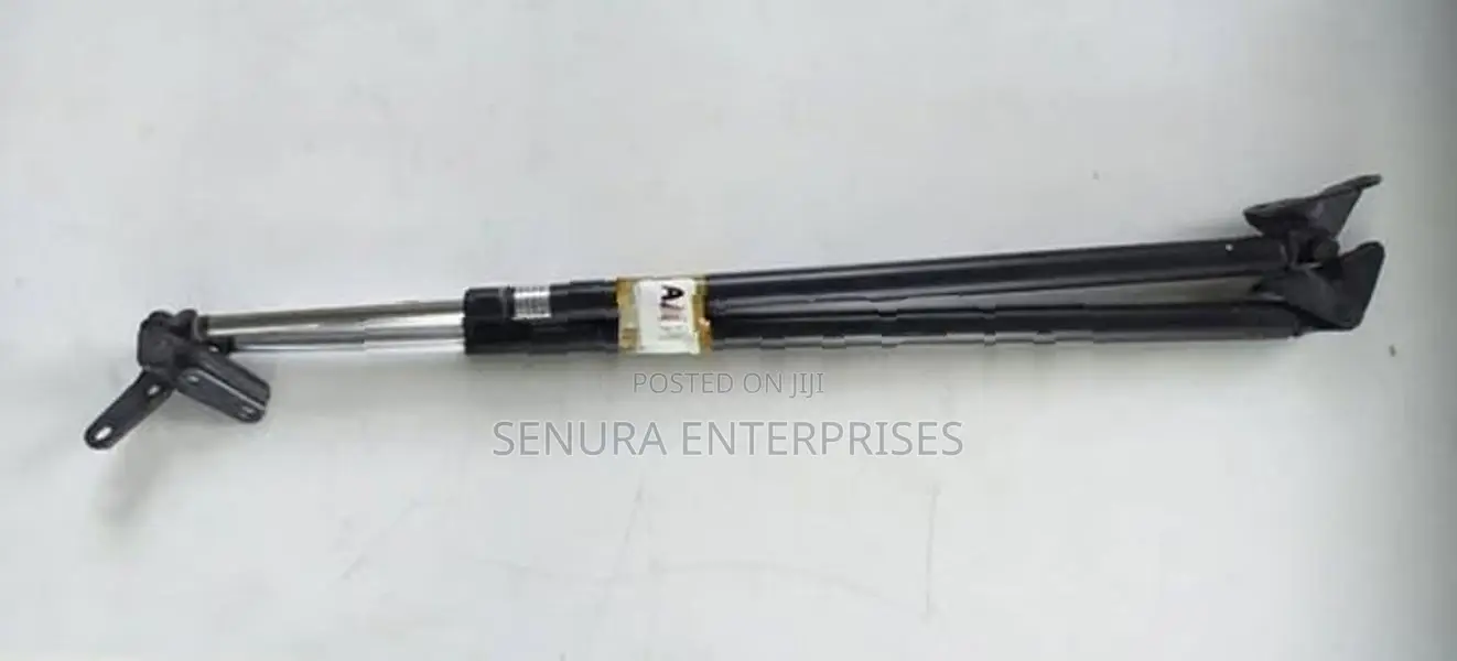 Toyota Voxy Azr60 Dicky Shocks