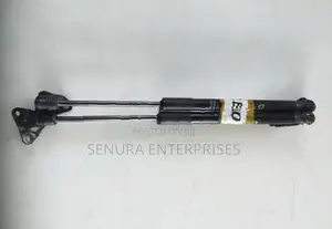 Nissan Leaf Zeo Dicky Shocks