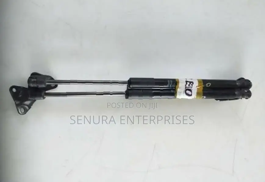 Nissan Leaf Zeo Dicky Shocks