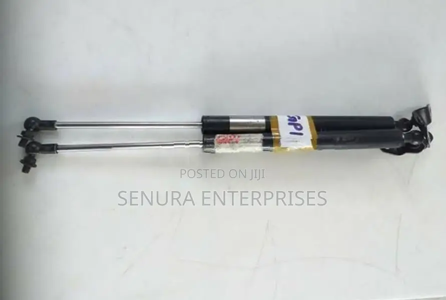 Honda Fit Gp1 Dicky Shocks