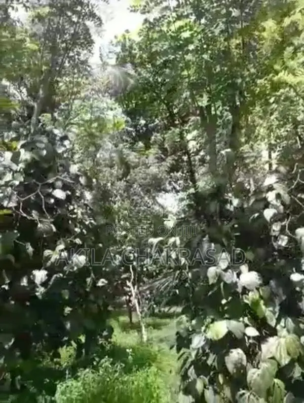 2 Acars Coconut Land in Negombo Dunagaha for Sale