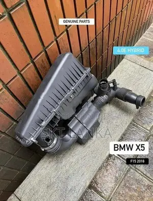 Genuine BMW X5 Hybrid 4.0e 2017 air filter