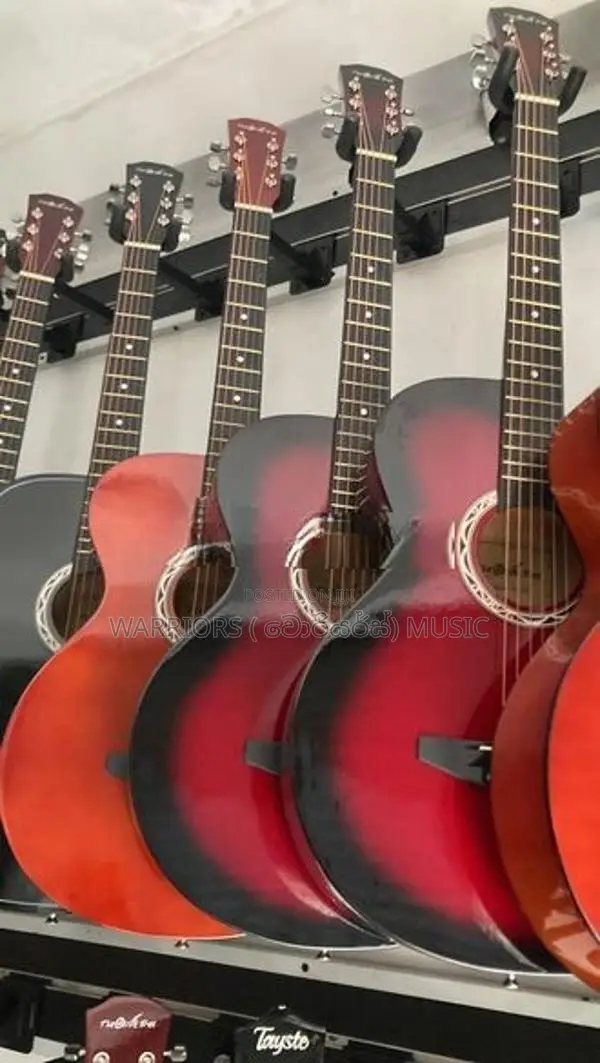 Brand new The Olive tree Box guitar full set