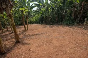 10 Perch Bare Land for Sale in Piliyandala - ASH021L