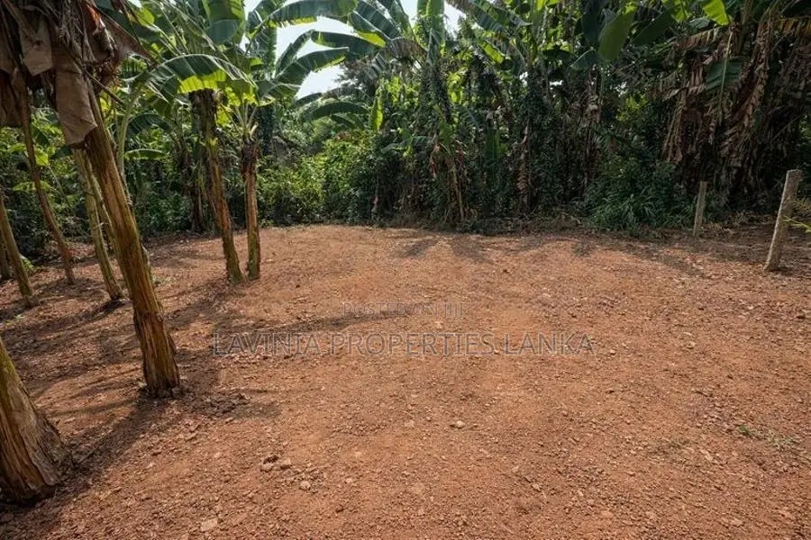 10 Perch Bare Land for Sale in Piliyandala - ASH021L