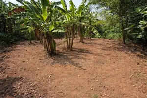 10 Perch Bare Land for Sale in Piliyandala - ASH021L