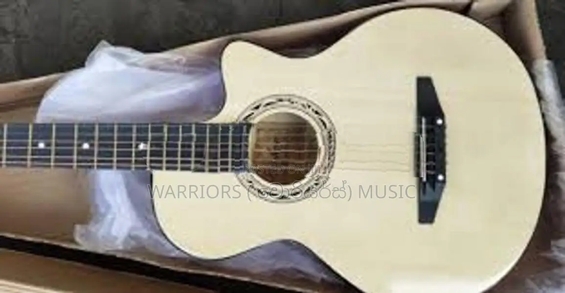 Brand new The Olive tree Box guitar full set
