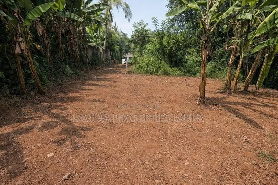 10 Perch Bare Land for Sale in Piliyandala - ASH021L