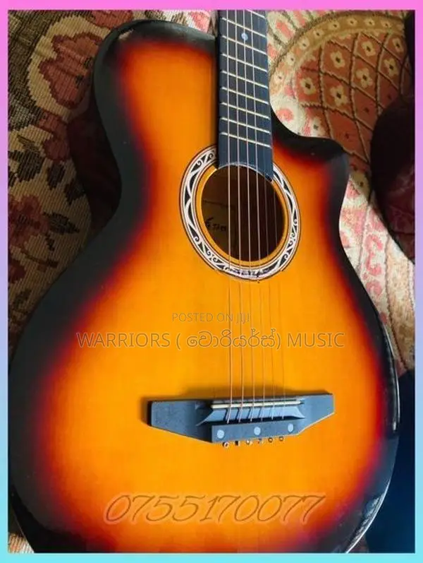 Brand new The Olive tree Box guitar full set