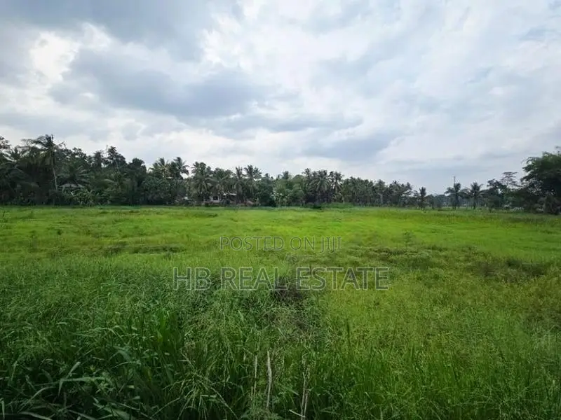 Paddy Field Facing Bare Land For Sale Korathota