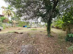 Paddy Field Facing Bare Land For Sale Korathota