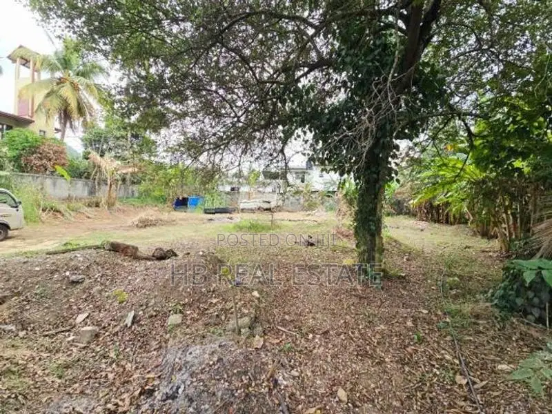 Paddy Field Facing Bare Land For Sale Korathota
