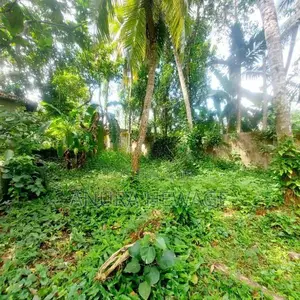 Land for Sale Facing New Kandy Road, Delgoda, Naranwala (ID: WA29A)