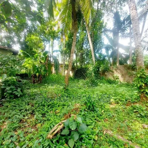 Land for Sale Facing New Kandy Road, Delgoda, Naranwala (ID: WA29A)