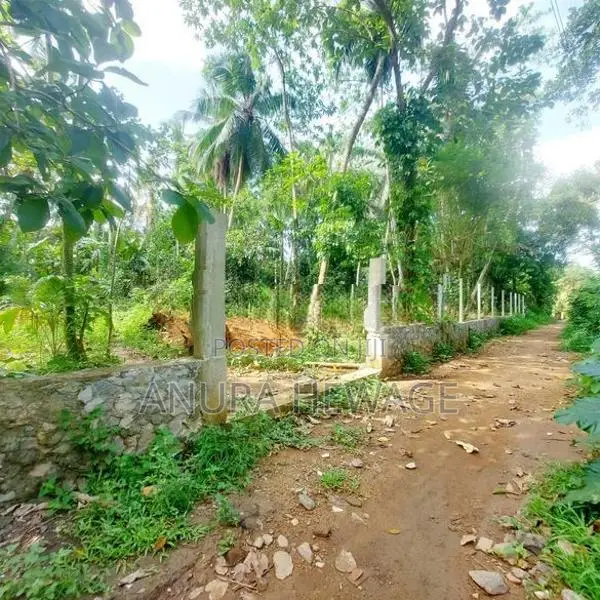 Land for Sale Facing New Kandy Road, Delgoda, Naranwala (ID: WA29A)