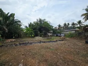 Paddy Field Facing Bare Land For Sale Korathota