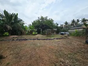 Paddy Field Facing Bare Land For Sale Korathota