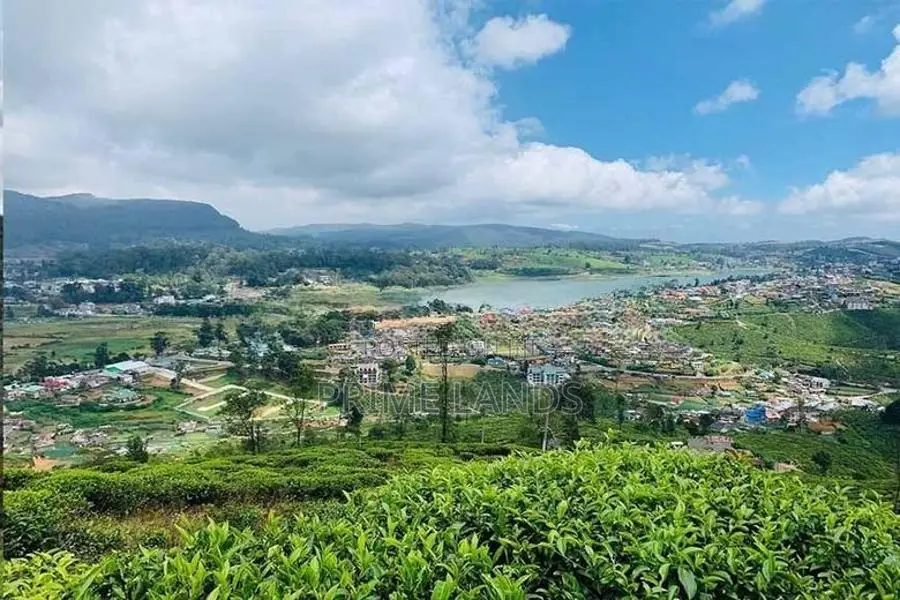 View Point Land for Sale Nuwara Eliya