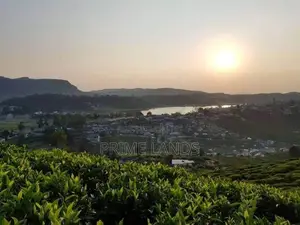 View Point Land for Sale Nuwara Eliya