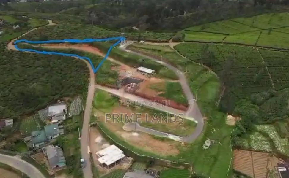 View Point Land for Sale Nuwara Eliya