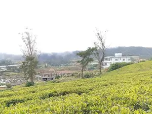 View Point Land for Sale Nuwara Eliya