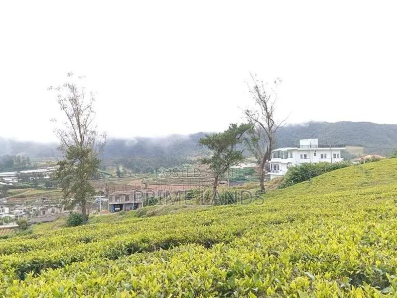 View Point Land for Sale Nuwara Eliya