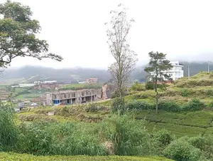 View Point Land for Sale Nuwara Eliya