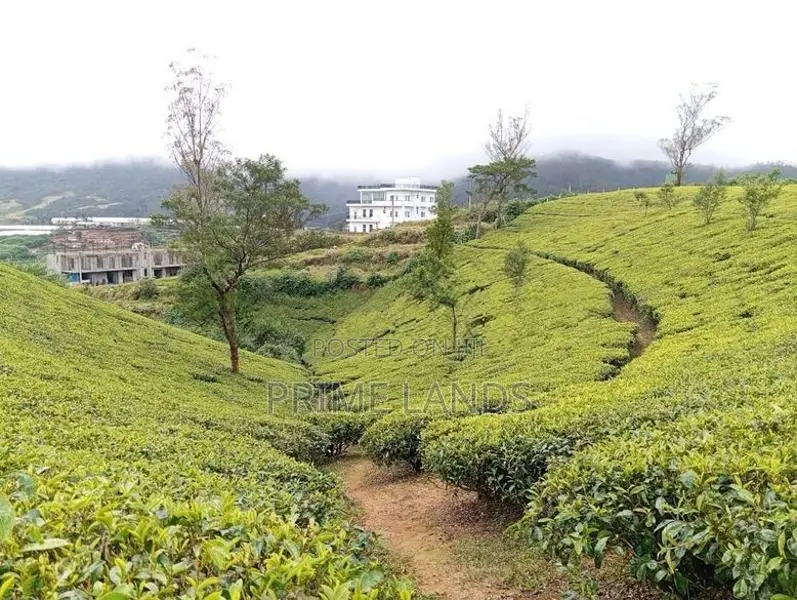 View Point Land for Sale Nuwara Eliya