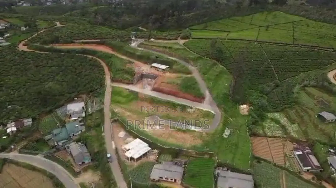 Valuable Land for Sale Nuwara Eliya