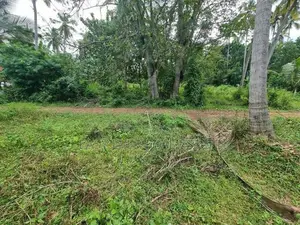 Land for sale in kurunegala