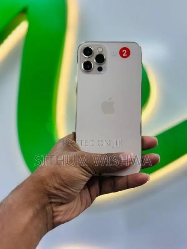 Apple iPhone 12 Pro 256GB (Used)