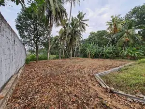 කැලණිය, වරාගොඩ වත්ත ප්‍රදේශයේ පිහිටි ඉඩමක් විකිණීමට ඇත. (ID: KL13TS)