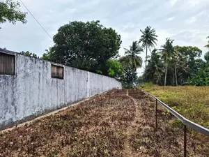 කැලණිය, වරාගොඩ වත්ත ප්‍රදේශයේ පිහිටි ඉඩමක් විකිණීමට ඇත. (ID: KL13S)