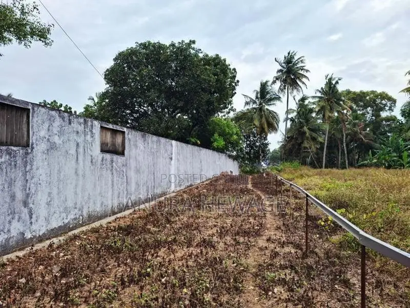 කැලණිය, වරාගොඩ වත්ත ප්‍රදේශයේ පිහිටි ඉඩමක් විකිණීමට ඇත. (ID: KL13S)