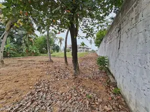 Land for Sale Waragoda Estate, Kelaniya. ( ID : KL13 )