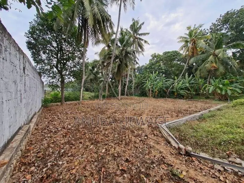 කැලණිය, වරාගොඩ වත්ත ප්‍රදේශයේ පිහිටි ඉඩමක් විකිණීමට ඇත. (ID: KL13S)