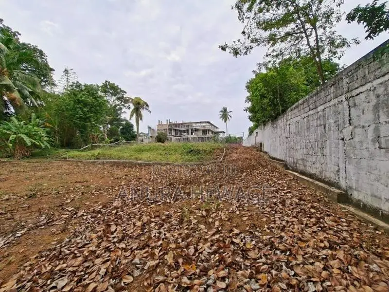 කැලණිය, වරාගොඩ වත්ත ප්‍රදේශයේ පිහිටි ඉඩමක් විකිණීමට ඇත. (ID: KL13S)