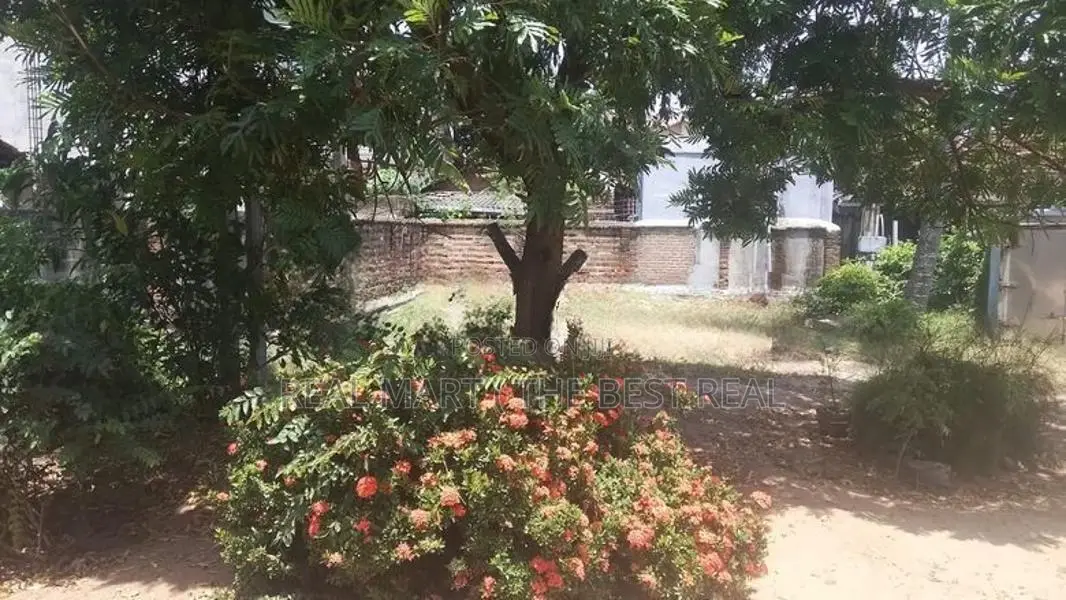 Negombo : 140 Perches Land for Sale
