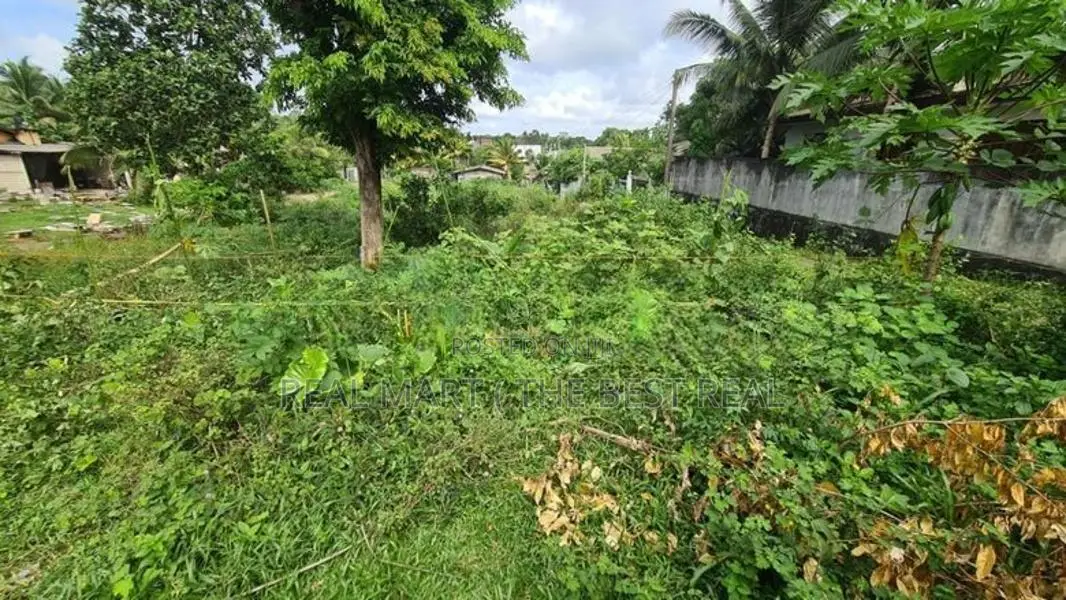 Kiriwaththuduwa : 25 perches Land for Sale at Yakahaluwa