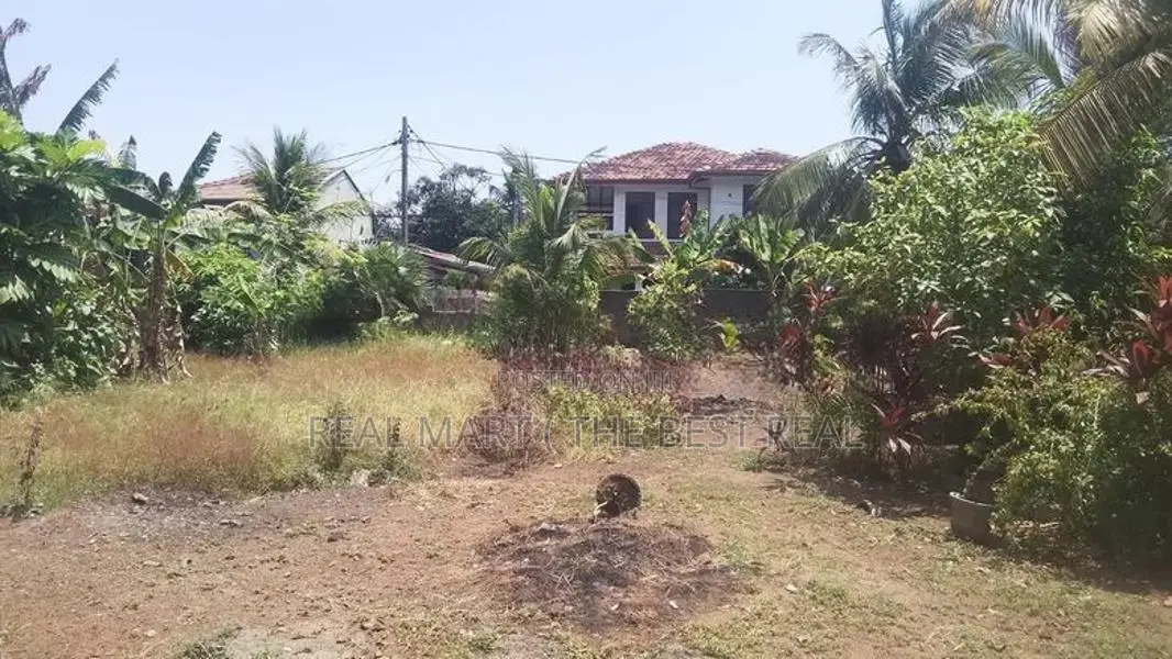 Negombo : 140 Perches Land for Sale