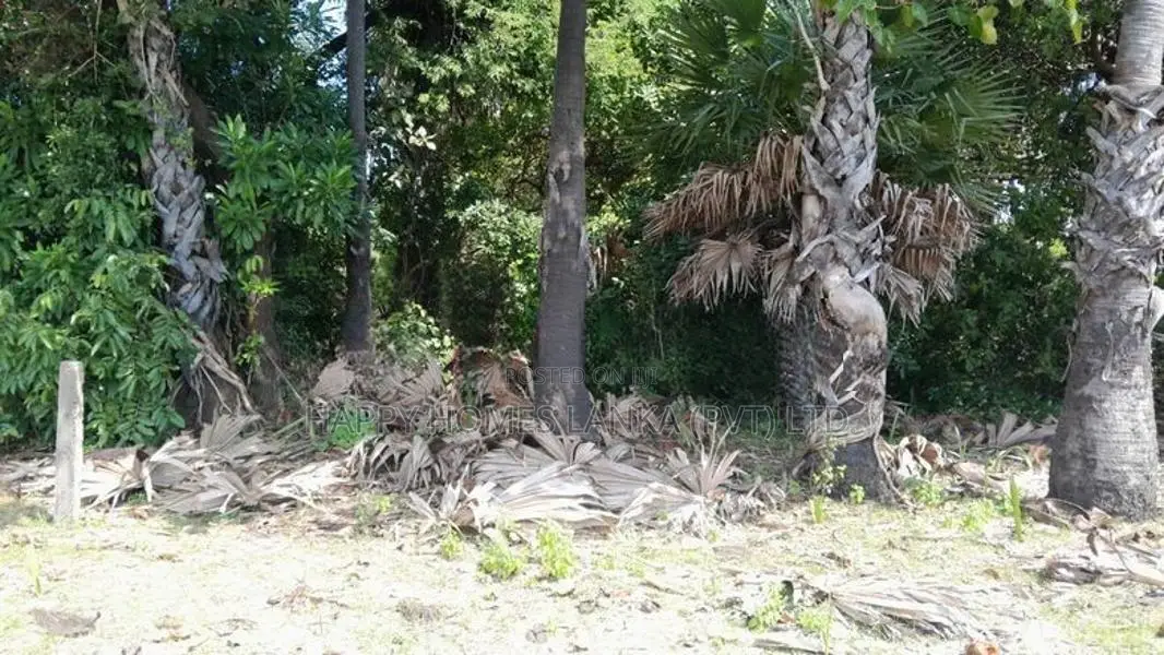HHL1061 - Land for sale in Kurukkalmadam