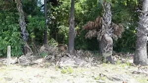 HHL1061 - Land for sale in Kurukkalmadam