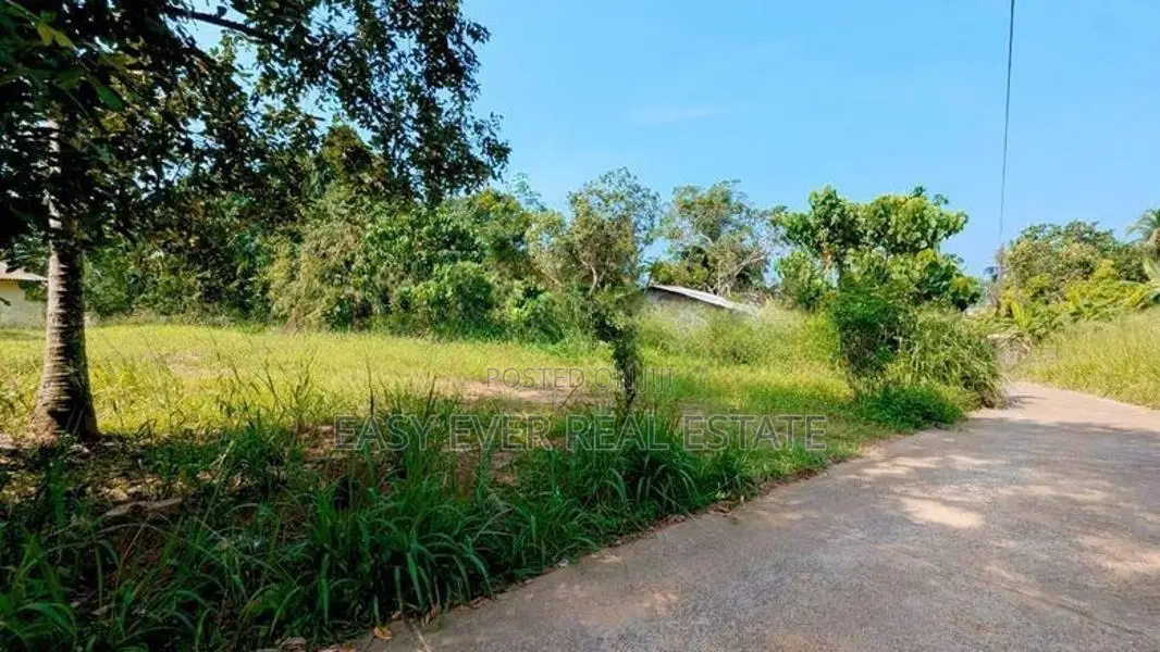 කටුනායක ප්‍රධාන මාර්ගයටත් ලගින් වටිනා ඉඩමක්