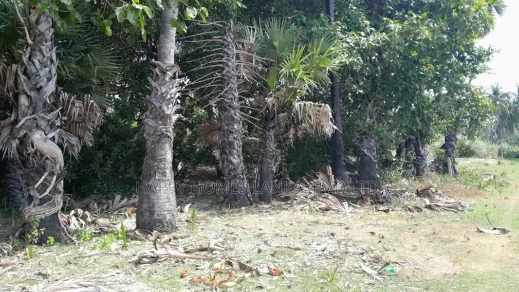 HHL1061 - Land for sale in Kurukkalmadam