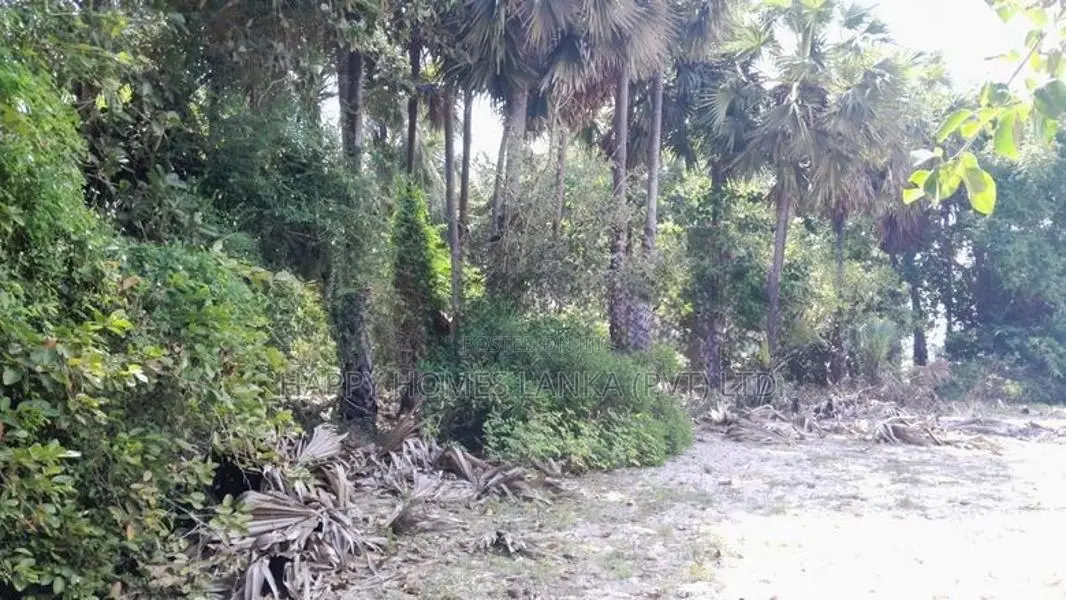 HHL1061 - Land for sale in Kurukkalmadam